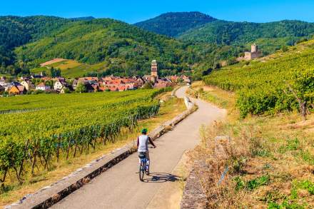 Vélo sur la route des vins d'Alsace
